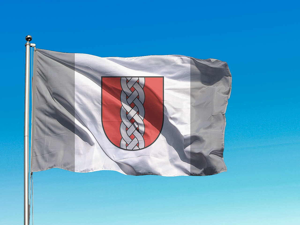 Ropažu novada karogs