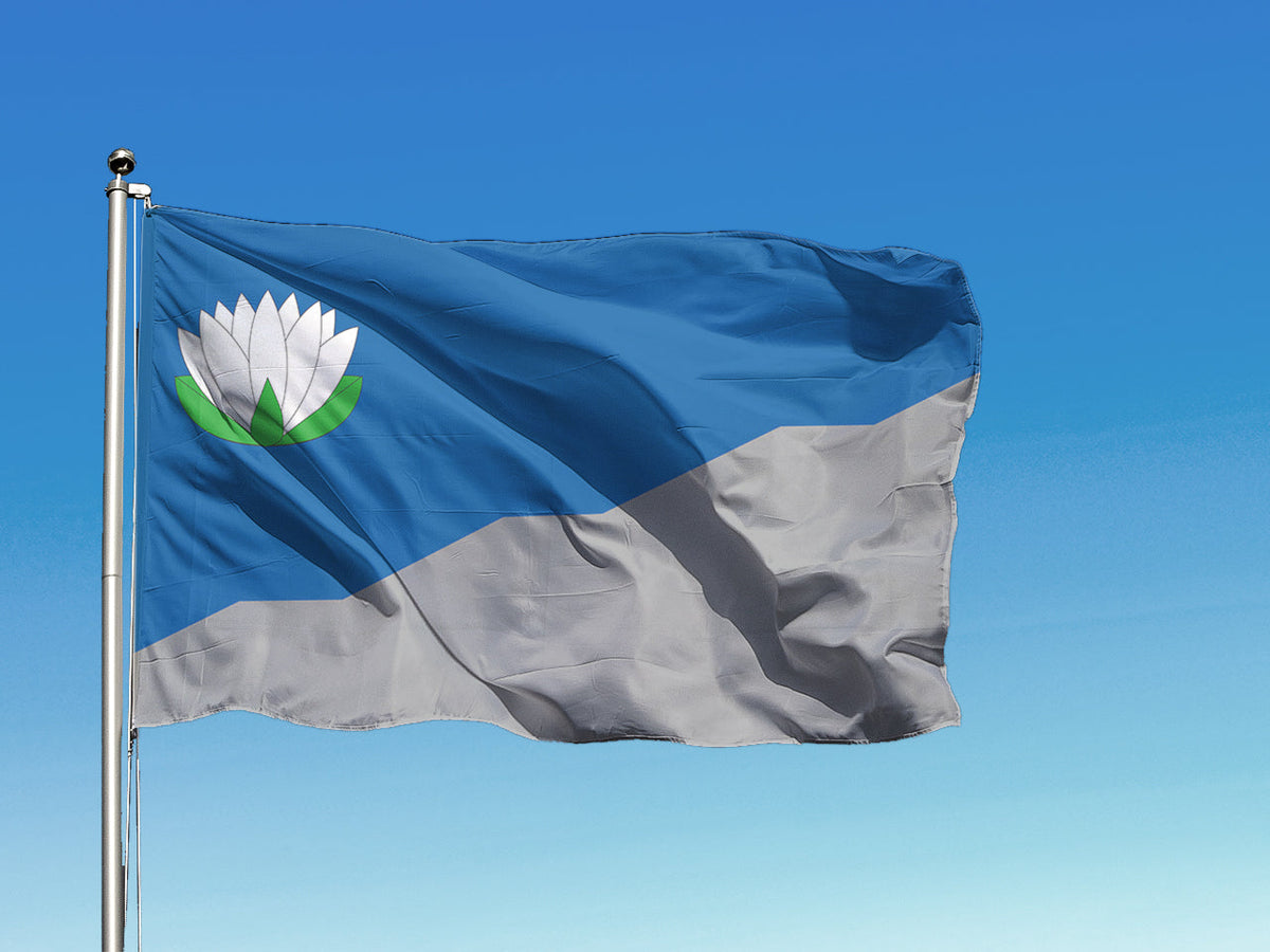 Brocēnu pilsētas karogs