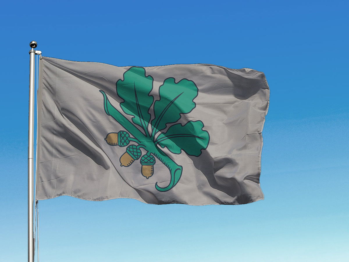 Kandavas pilsētas karogs