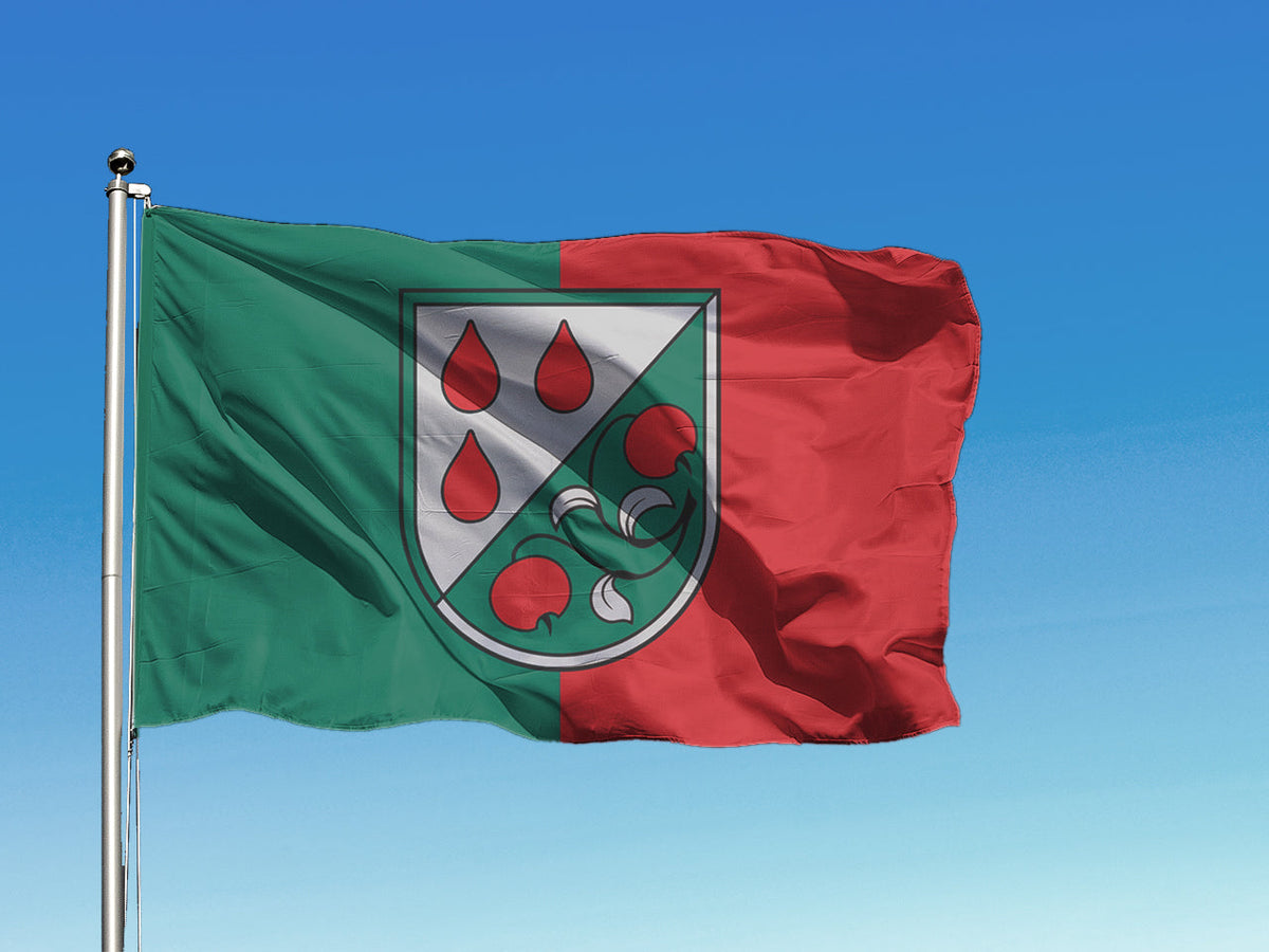 Olaines pilsētas karogs